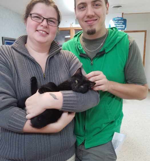 A man and woman holding a black cat.