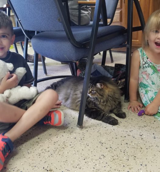 Two kids sitting on the floor with a cat
