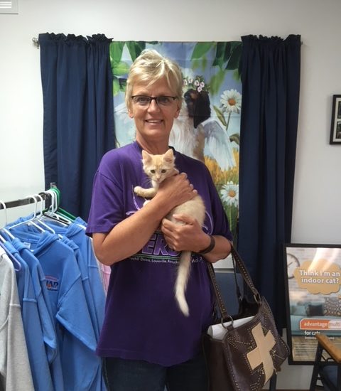 A woman in a purple shirt holding a white kitten.