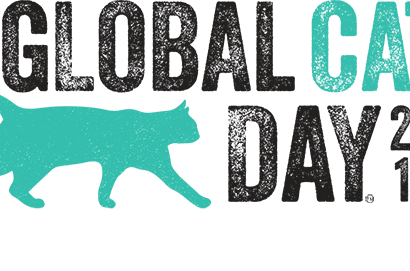 A transparent banner of global cat day
