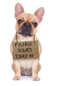 A dog holding a tag please donate today