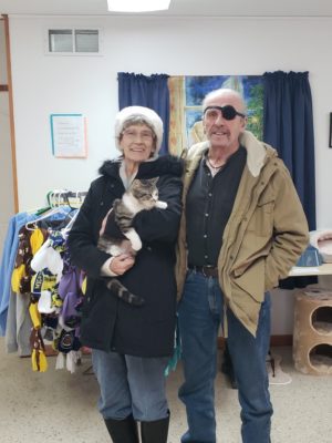 A elder couple adopting a cat standing in a room