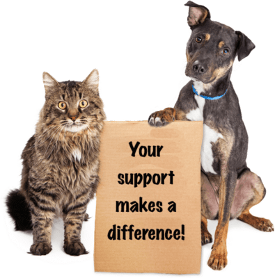 cats holding a poster of your support makes a difference