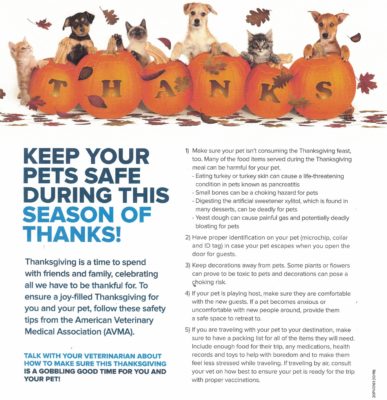 keep your pets safe during this season of thanks.